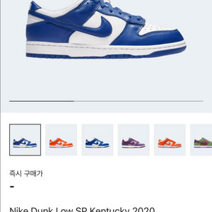 나이키 덩크로우 sp 켄터키 2020 (255) 중고 팝니다