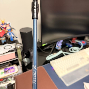 프로젝트 X 드날리 블루 6s