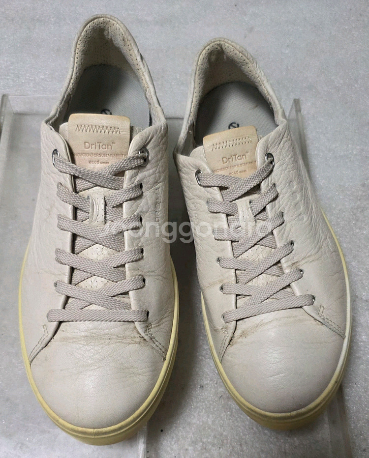 에코 ECCO 가죽 논스파이크 골프화 스니커즈 여성 EU 38(240)--3