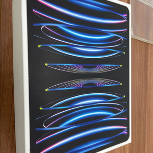 아이패드 프로 12.9셀룰러 6세대 512