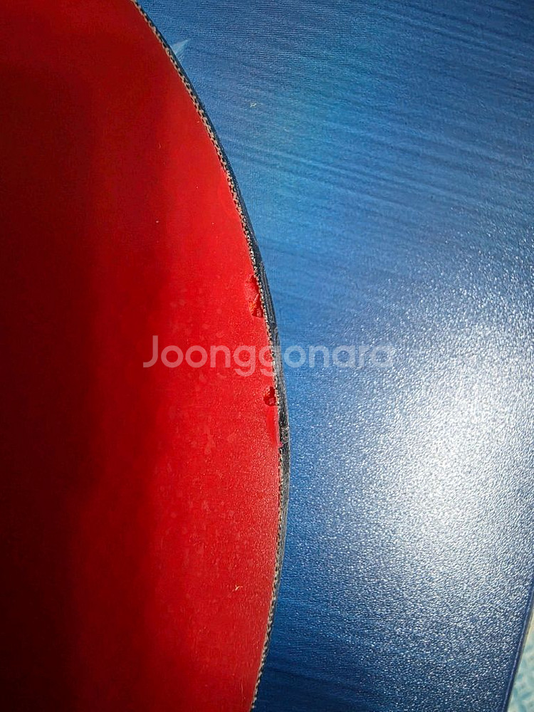 탁구라켓 넥시 로텔라 블레이드 + 에티카 러버--2