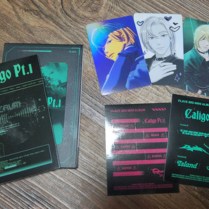 칼리고 포카앨범 판매합니다