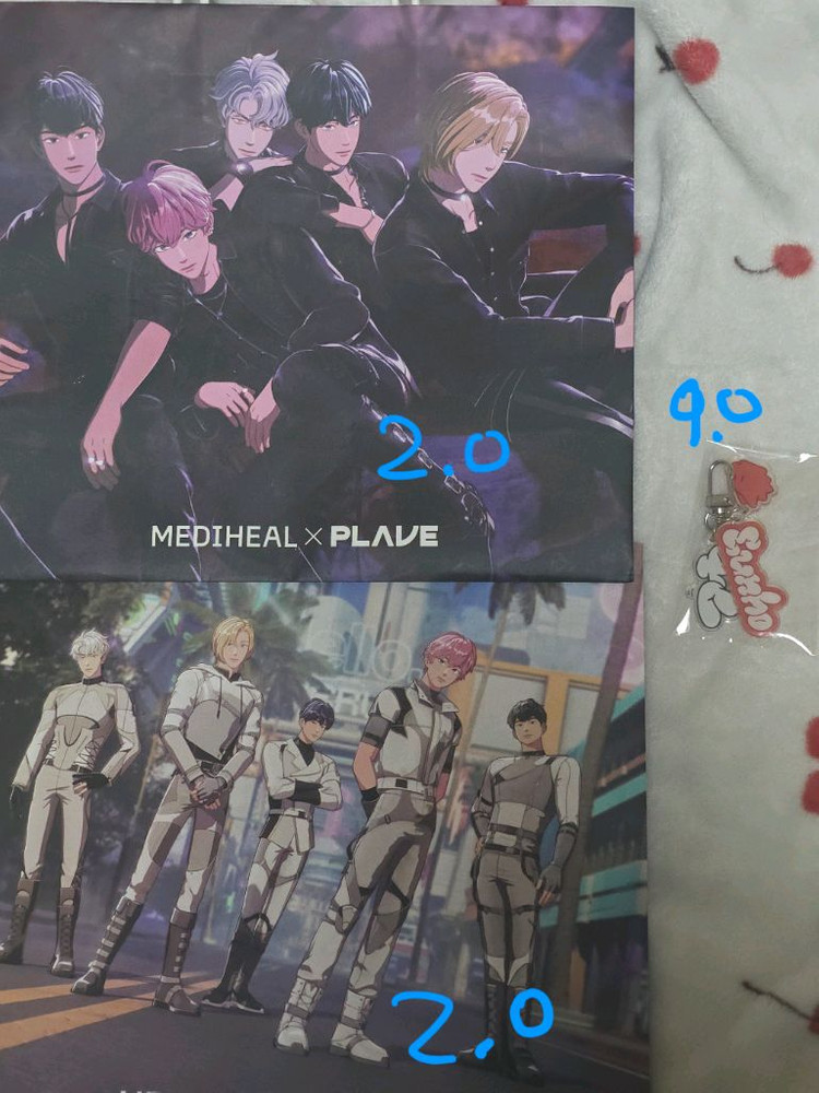 플레이브 굿즈 양도--3