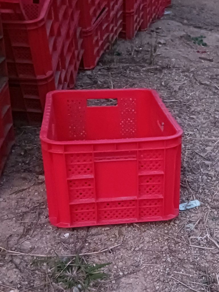 (미사용) 콘티박스 플라스틱박스 과일상자 컨테이너박스 이미지