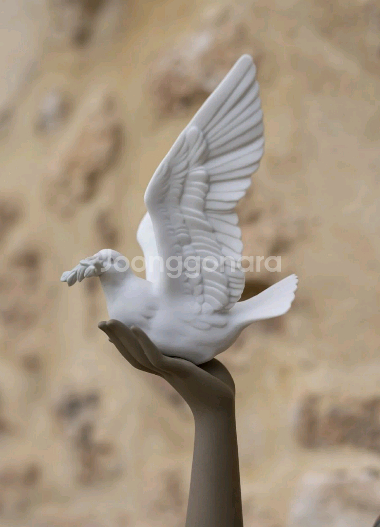 야드로평화의비둘기--7