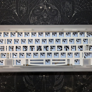 Protagonist(프로타고니스트) X-ray 에디션