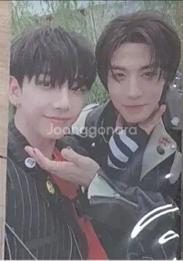 보넥도 유닛 포토카드 일괄--1