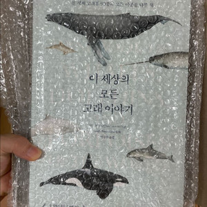 이세상의 모든 고래 이야기