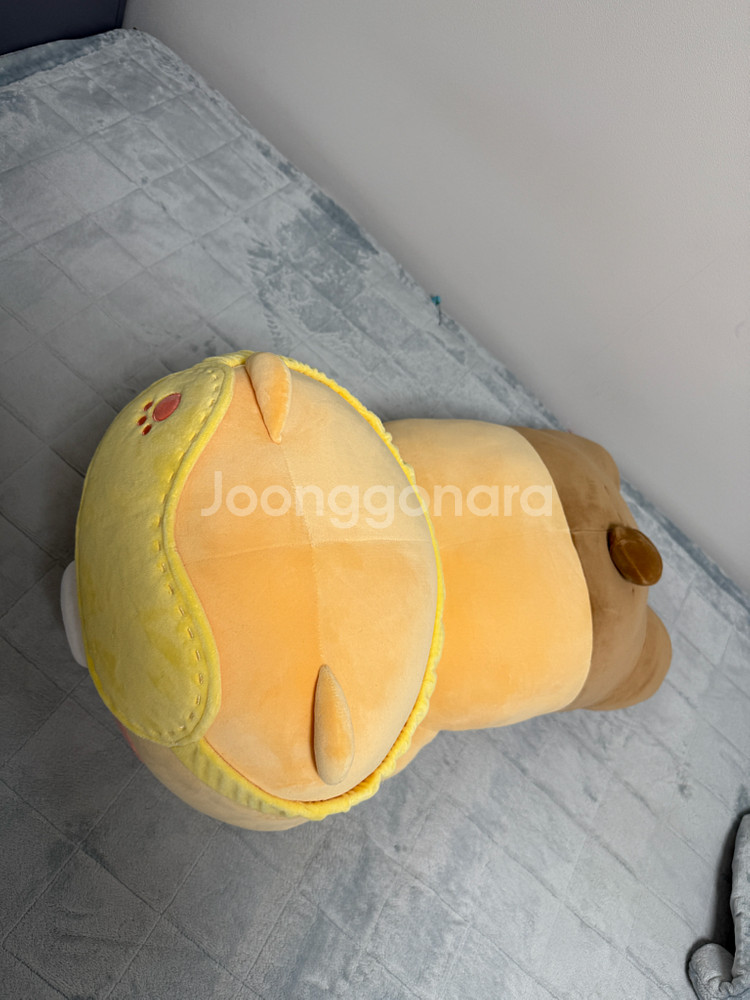 춘식이 메가바디필로우--1