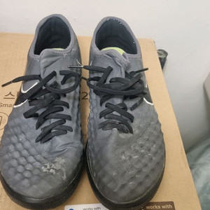 (270mm) 마지스타 피날레2 TF