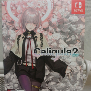 닌텐도 스위치 칼리굴라2
