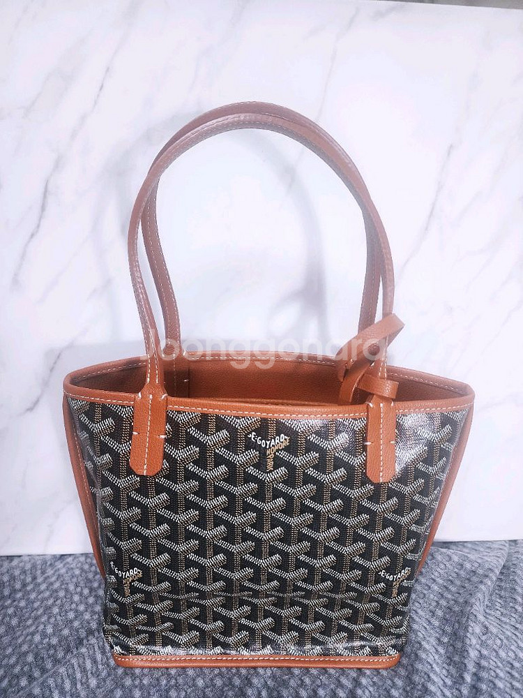 고야드 미니앙주--0