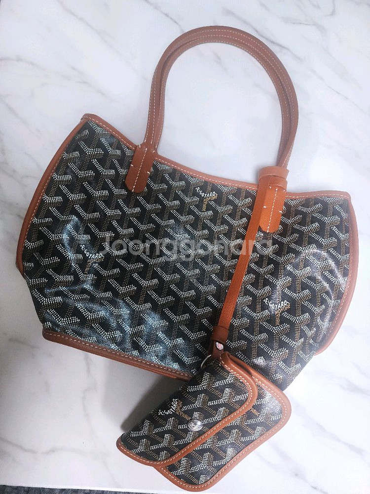 고야드 미니앙주--2