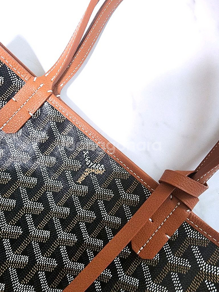 고야드 미니앙주--1