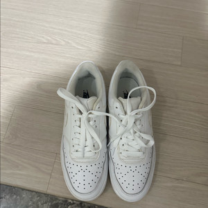 나이키 코트 비전로우 알타 흰색 270mm