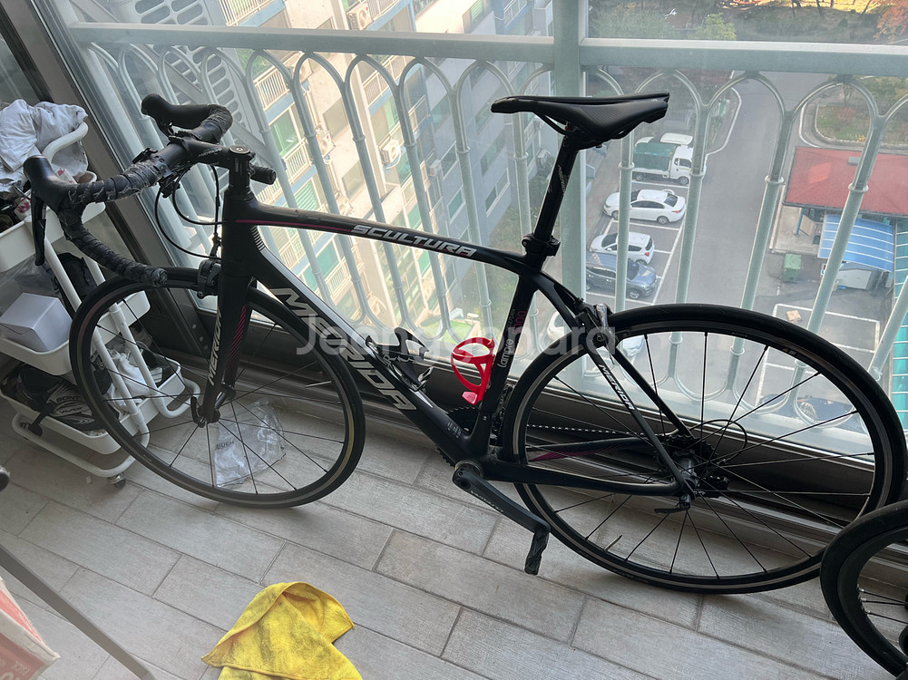 메리다 스컬트라5000 람프레2016--0