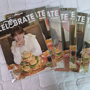 세븐틴 생카 멤버별