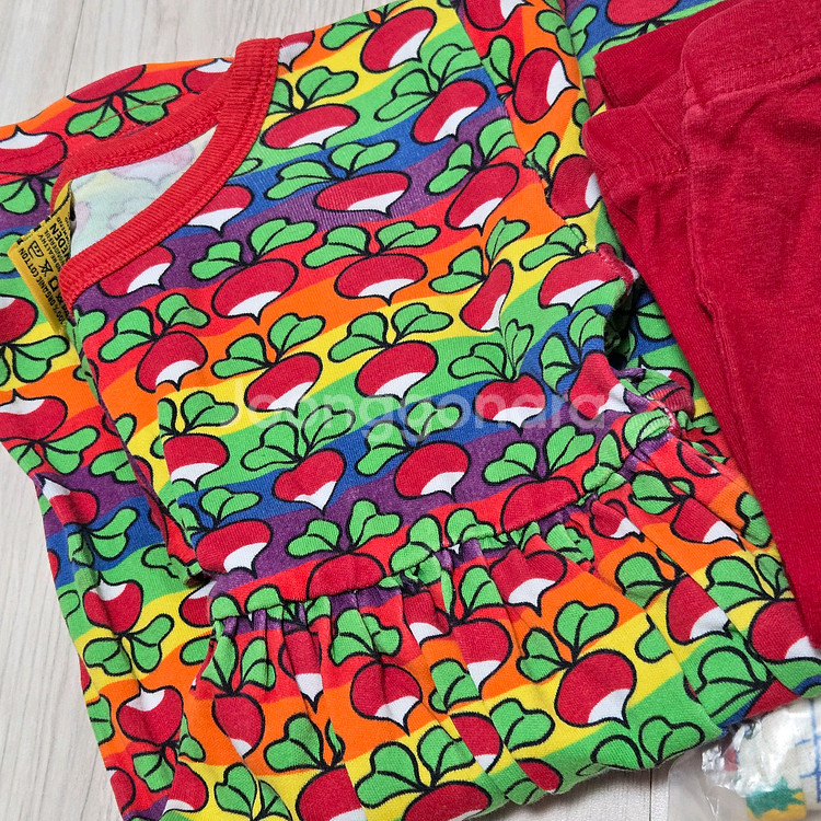 프레젠트프로젝트과일L+던스스웨덴 게더 일괄--1