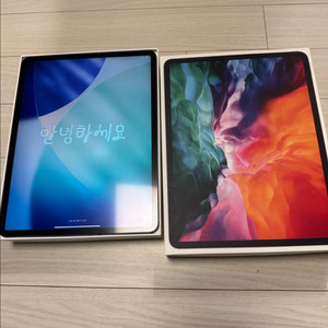 아이패드 프로 4세대 12.9인치 1tb 셀룰러 스그