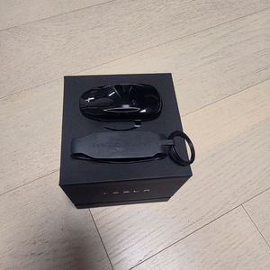 테슬라 키팝 2세대 팝니다