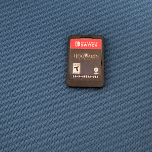닌텐도 스위치 호그와트 레거시 알칩