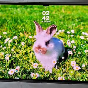 갤럭시탭 S9 울트라 256g wifi 팝니다!