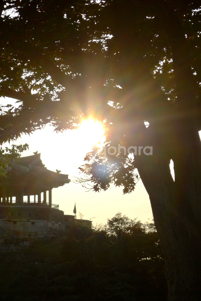 작례O)파나소닉 루믹스 lx5 라이카 렌즈--4