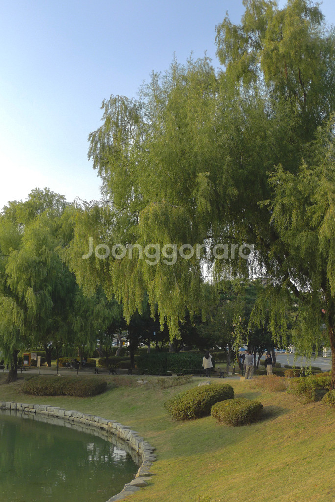 작례O)파나소닉 루믹스 lx5 라이카 렌즈--5