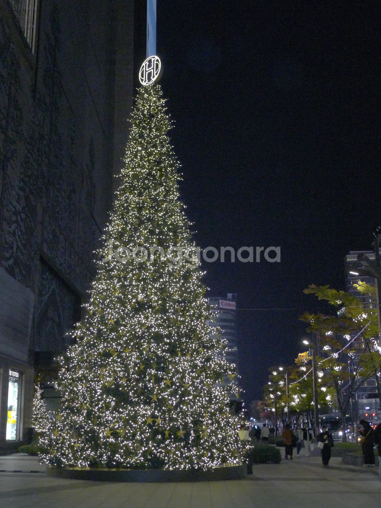 작례O)파나소닉 루믹스 lx5 라이카 렌즈--9