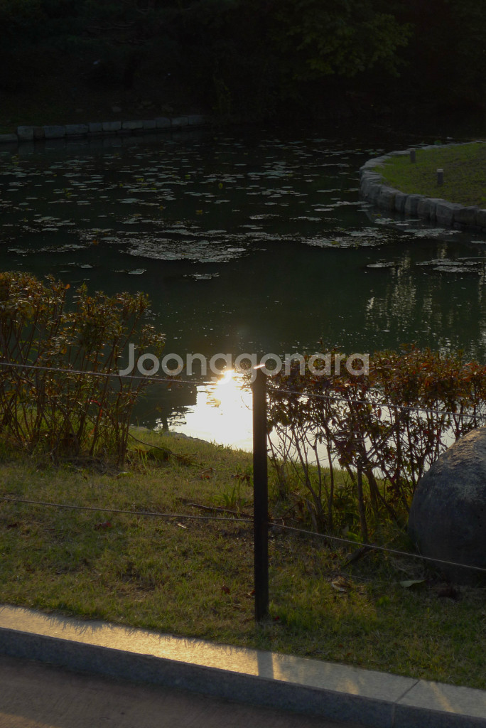 작례O)파나소닉 루믹스 lx5 라이카 렌즈--6