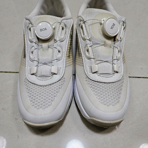 르꼬끄 골프 보아 골프화 235 거의새상품