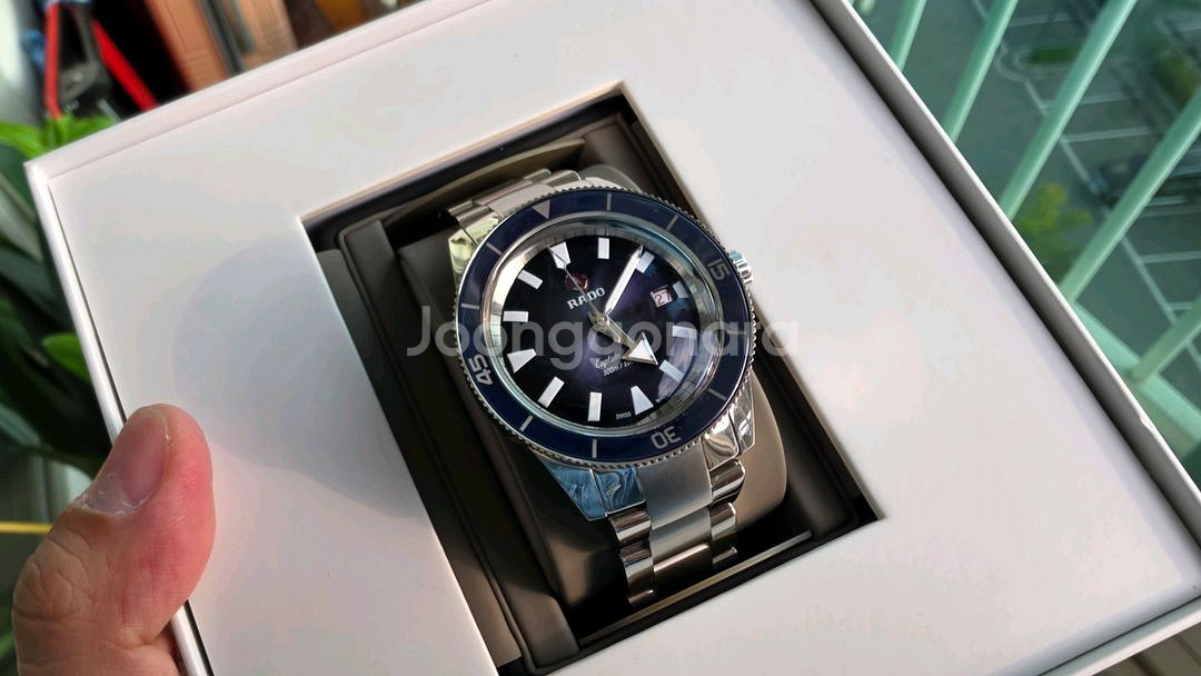 라도 캡틴쿡 300m 블루 42mm [정품 쌀알브슬 포함]--7