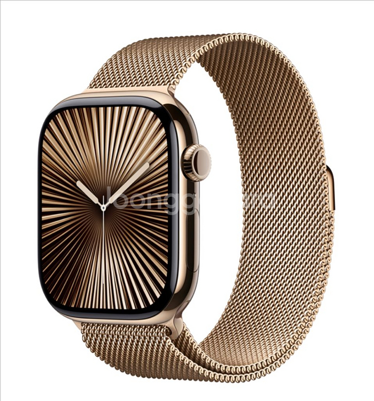 애플워치 10 46mm 티타늄 골드 밀레니즈 루프--0