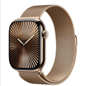 애플워치 10 46mm 티타늄 골드 밀레니즈 루프