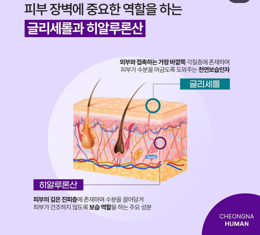 벨로테로 리바이브 스킨부스터 이미지
