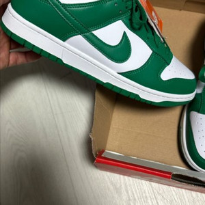 나이키 덩크 로우 그린/화이트