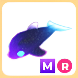 입양하세요 메가네온 글로미 돌고래