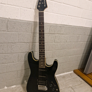 블랙버니 일렉기타