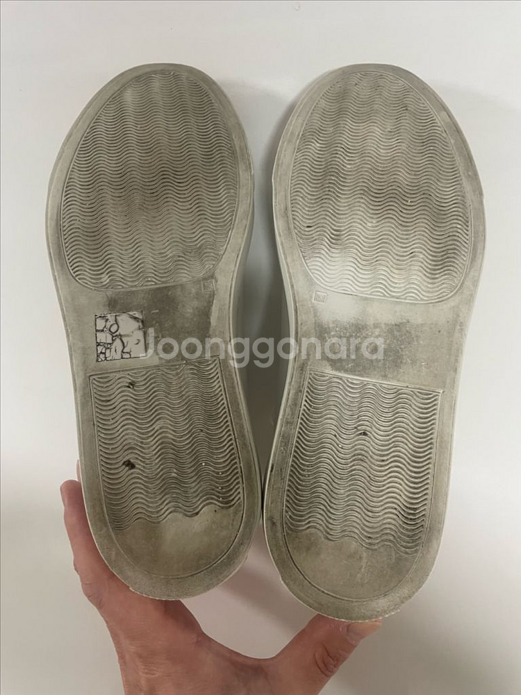 커먼프로젝트 아킬레스 로우 화이트 우먼스 36사이즈--6