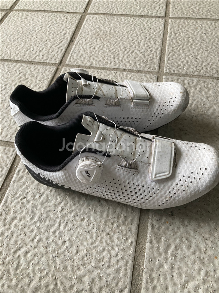 거스토 코브라 스포츠팀 로드 자전거 + 가민, 헬멧, 신발--8