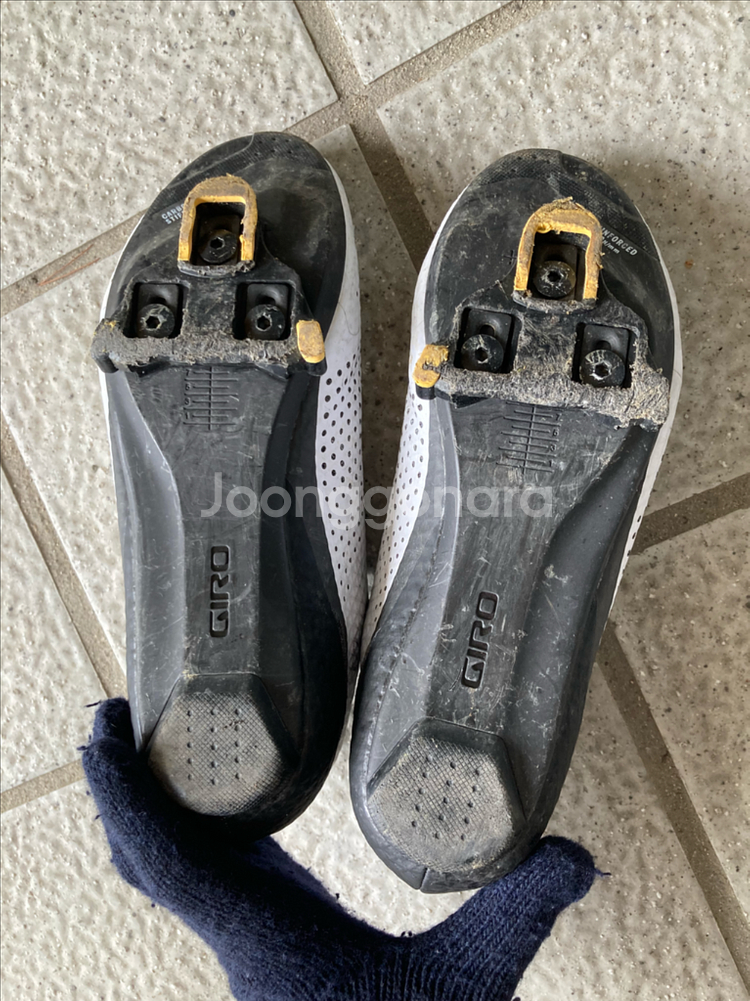 거스토 코브라 스포츠팀 로드 자전거 + 가민, 헬멧, 신발--9