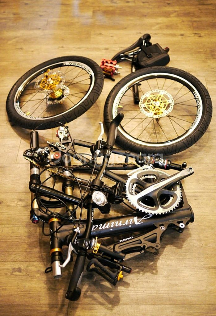 에어니멀 라이노 / 풀샥 미니벨로 (브롬톤, 구와하라 가프, 루이가르노, 버디)--7