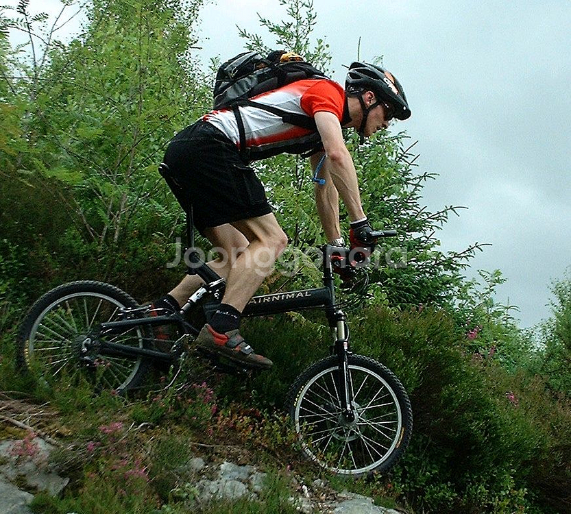 에어니멀 라이노 / 풀샥 미니벨로 (브롬톤, 구와하라 가프, 루이가르노, 버디)--9