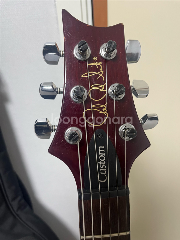 PRS S2 Custom 24--1