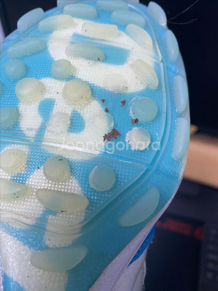 데스포르치 테사라이트 프로2 LTD 20주년 270--5