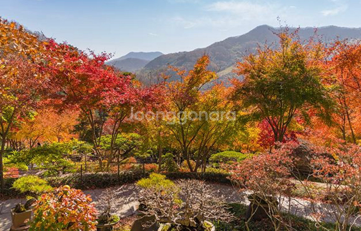 단풍 hwadam숲 11월9일 3시15분 성인2 입장권--0