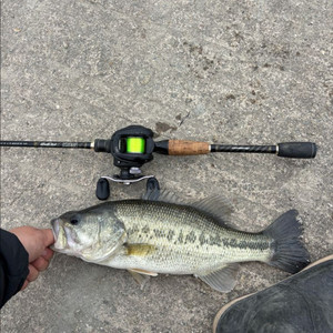닉스팝2 초릿대 구매 및 버트부분 판매 이미지