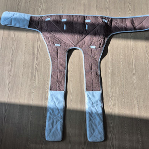 이화 워킹 재활벨트(환자이동벨트) D형 대형 팝니다