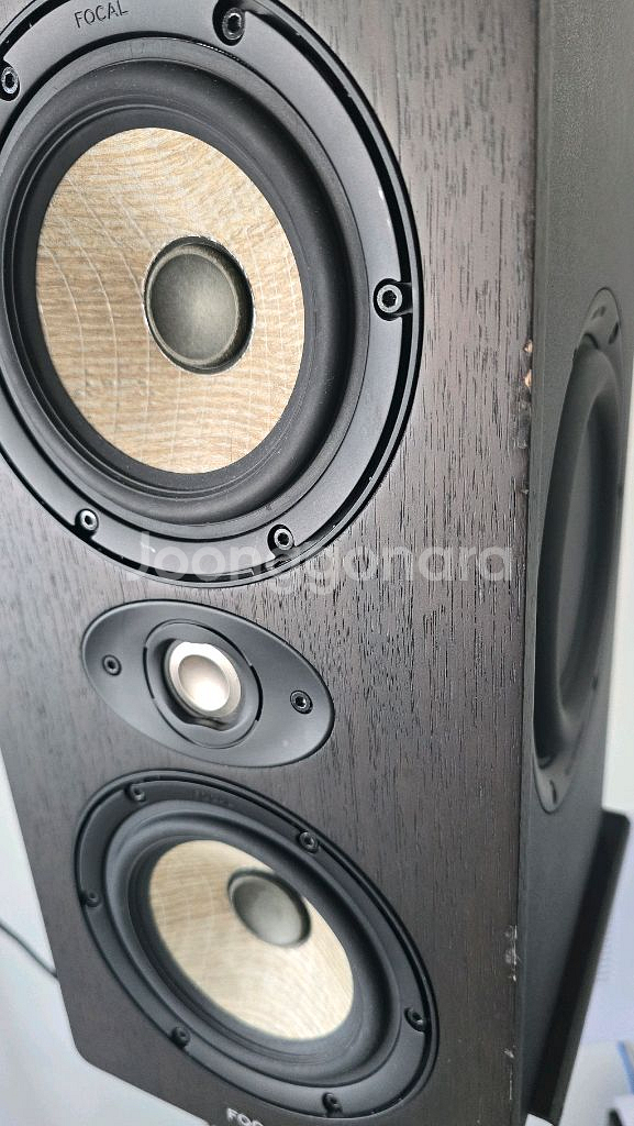 focal shape twin 스피커--3