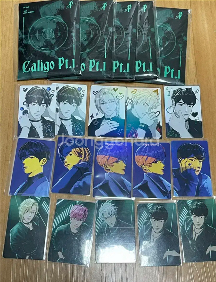 플레이브 칼리고 포카앨범 양도--0